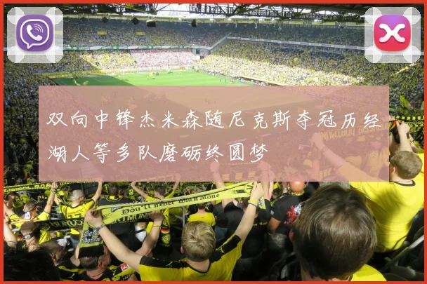 双向中锋杰米森随尼克斯夺冠历经湖人等多队磨砺终圆梦